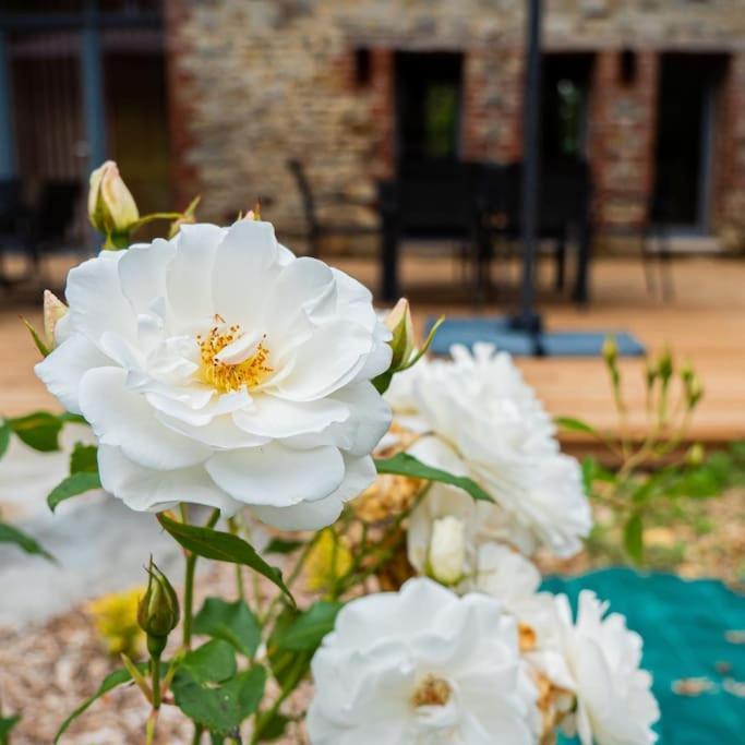 Le Fournil Du Bertry Villa La Bouexiere Dış mekan fotoğraf